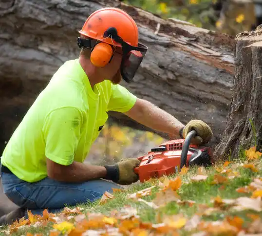 tree services Marietta